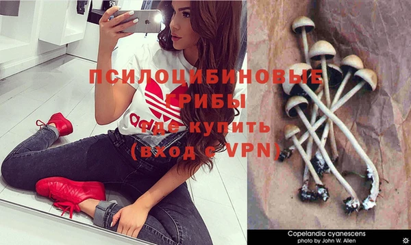 прущие крисы Алексин