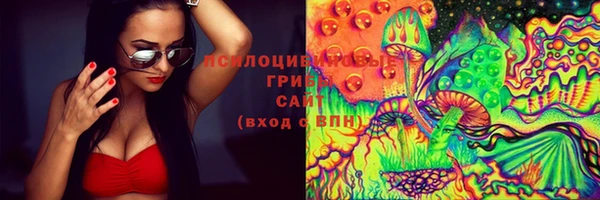 прущие крисы Алексин